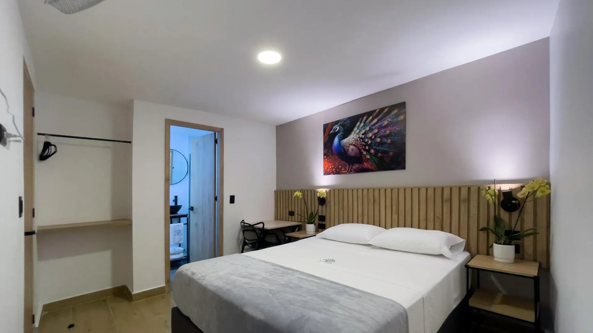 Vita Hotel Boutique Medellín 0*,  Kolumbien