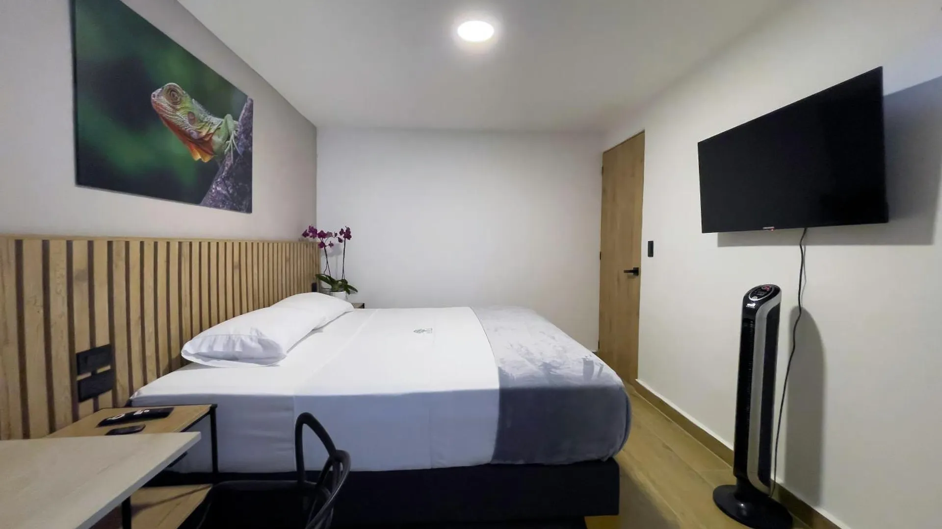 Vita Hotel Boutique Medellín