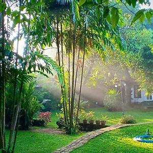 https://mango-house-japanese-guest-house.kandyhotelsnow.com