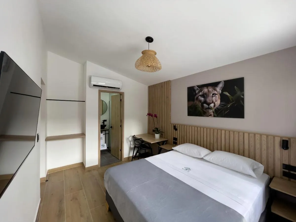 Vita Hotel Boutique Medellin