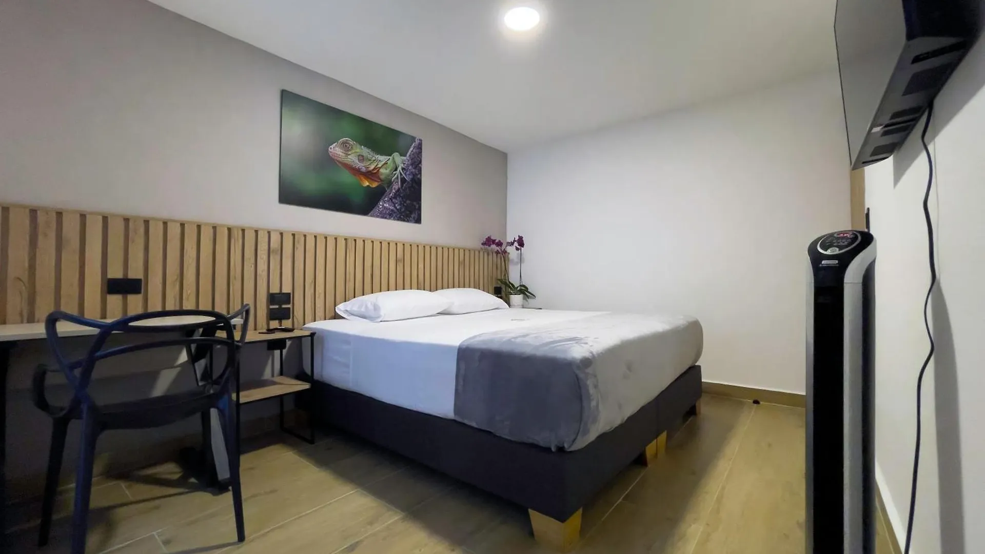 Vita Hotel Boutique Medellin