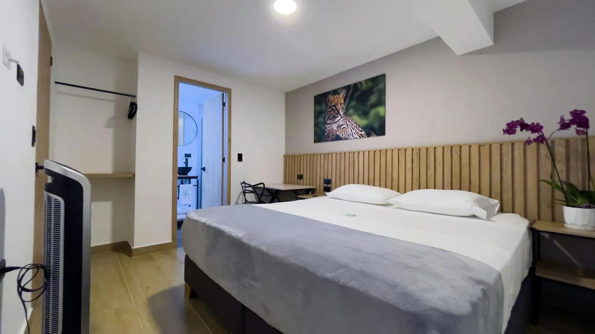 Vita Hotel Boutique Medellin